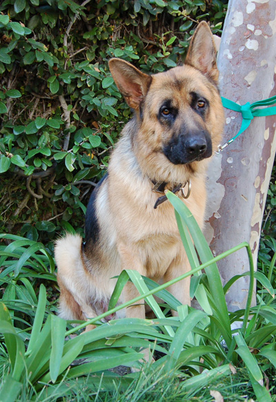 King Solomon sitting 3